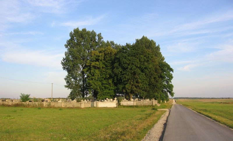 Widok na cmentarz przed wycinką drzew... [2005 r.]. Foto W. Cichecki.