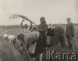 Kobiety podczas rżnięcia zboża sierpami [lata 30 XX w.]. Ze zbiorów Ośrodka KARTA.
