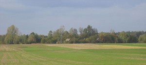 Przypuszczalne miejsce lokalizacji dawnego Szczodrowa widziane obecnie [2012 r.] od strony południowej (droga Rogienice - Bebelno). Foto W. Cichecki.