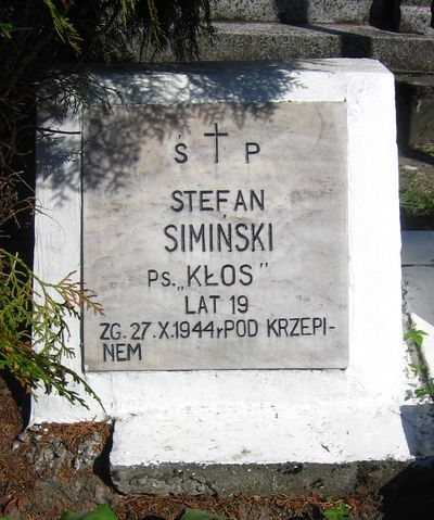 Płyta grobu Stefana Siemieńskiego na zbiorowej mogile na cmentarzu parafialnym we Włoszczowie [2012 r.]. Foto W. Cichecki.